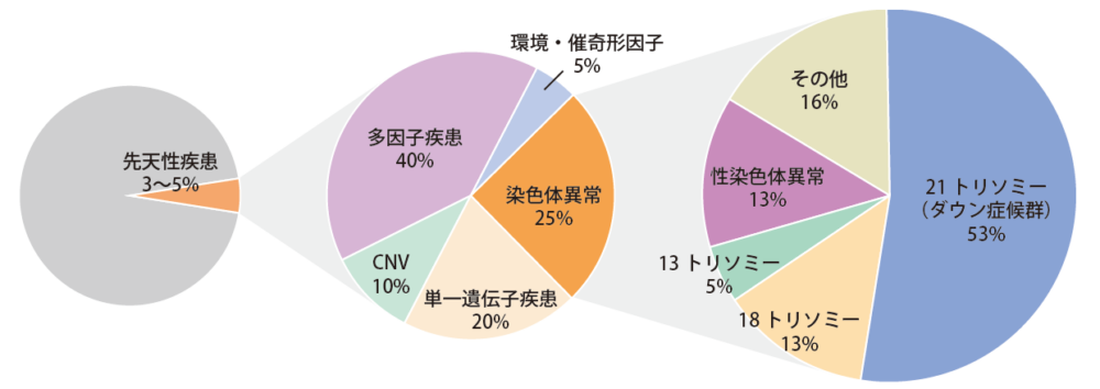 認証施設のNIPTでわからないこと